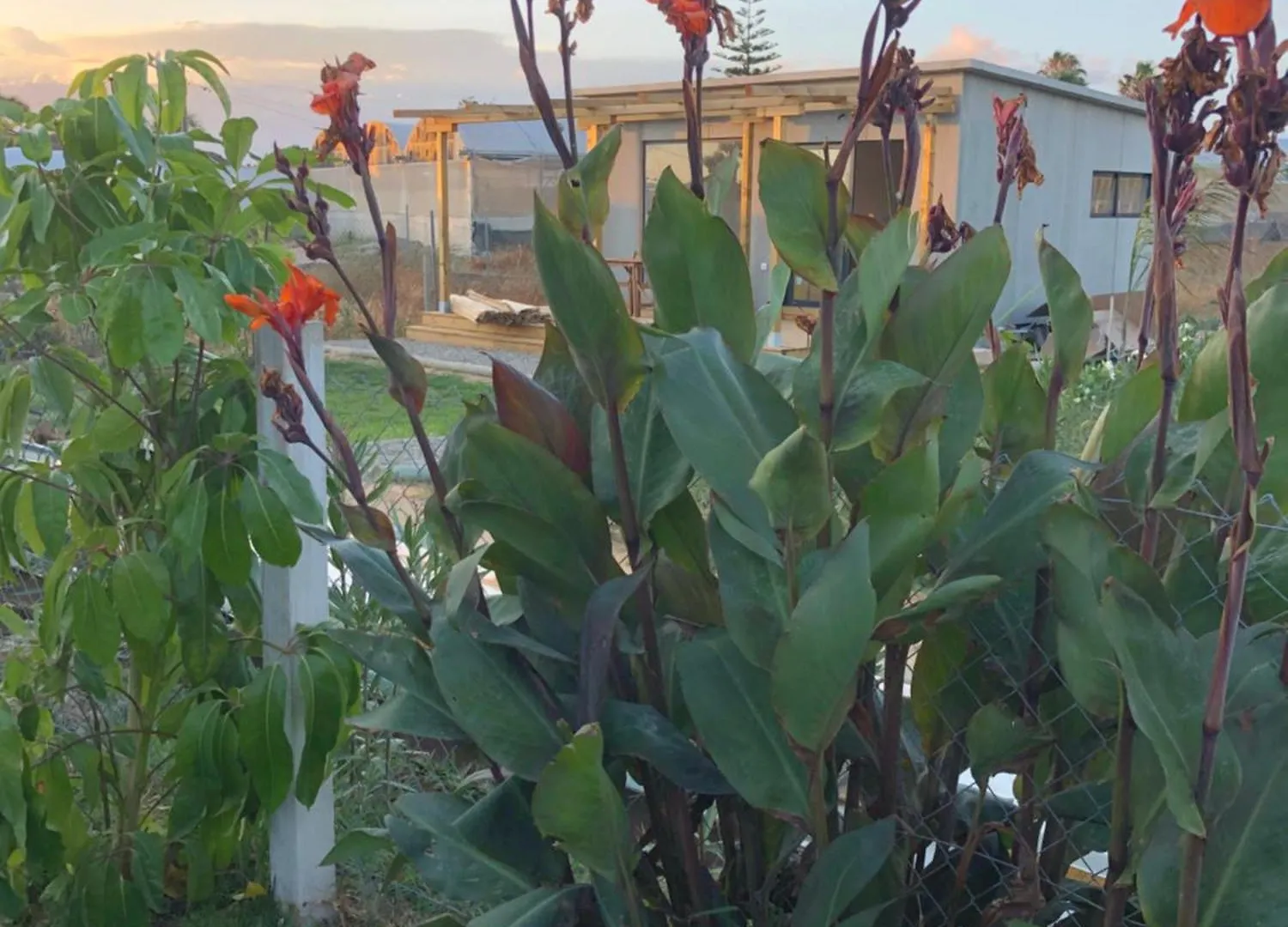 Casa Isabelina Apartment Sanlucar de Barrameda